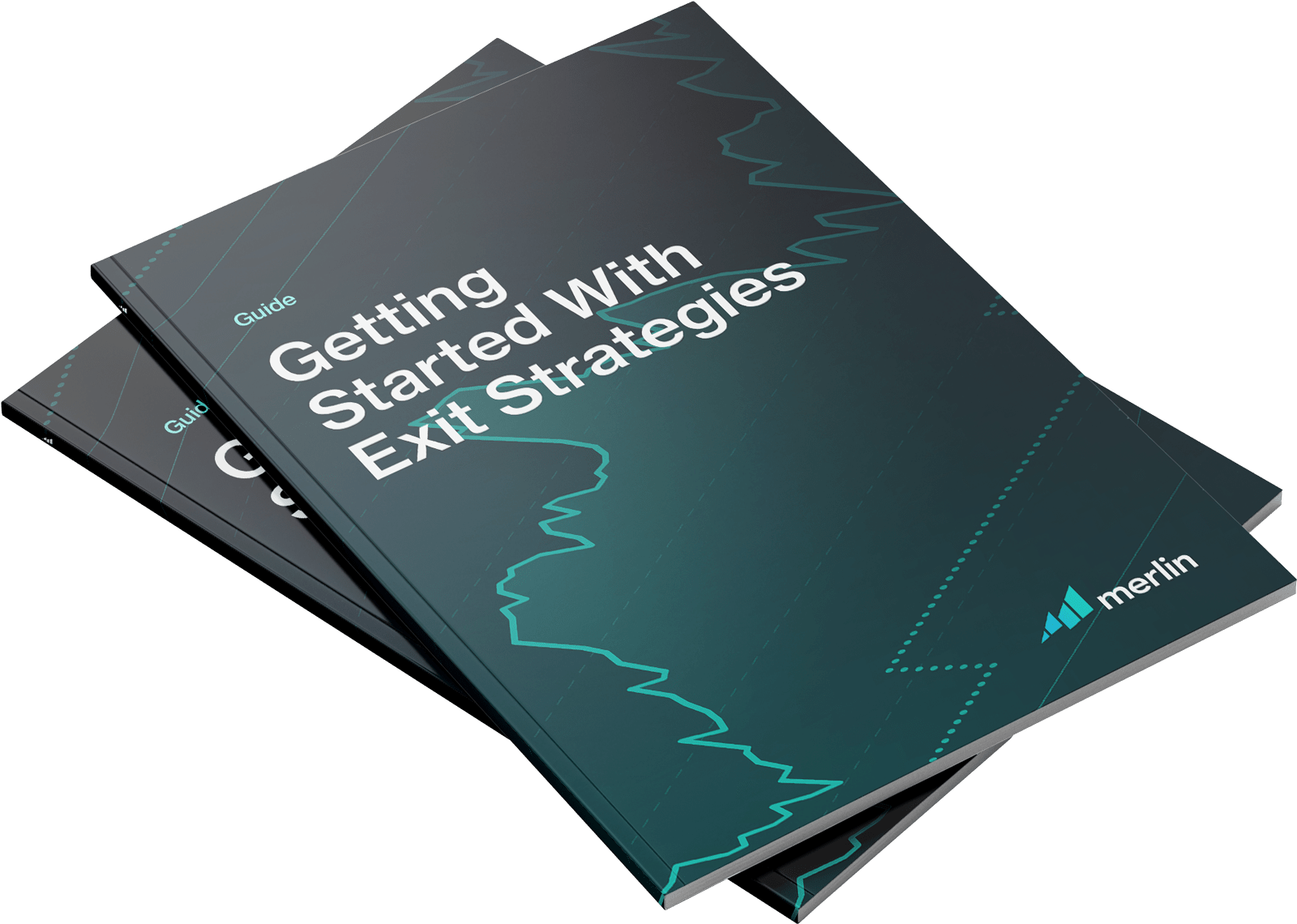 Exit Strategy Guide book